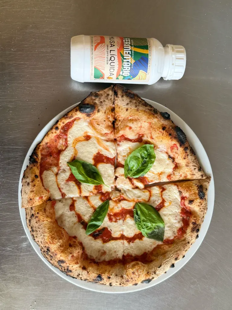 WhatsApp Image 2026-02-11 at 15.57.14.webp