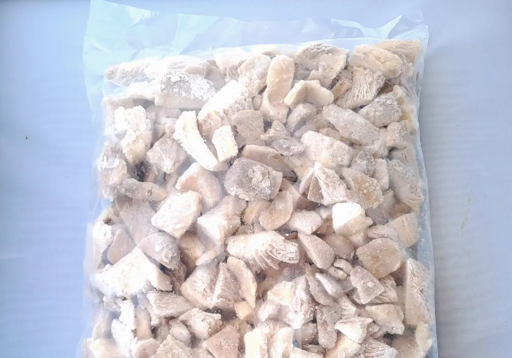 Hongo Pleorotus 1k